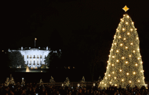 National Christmas Tree