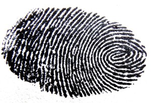 fingerprint-456483_960_720